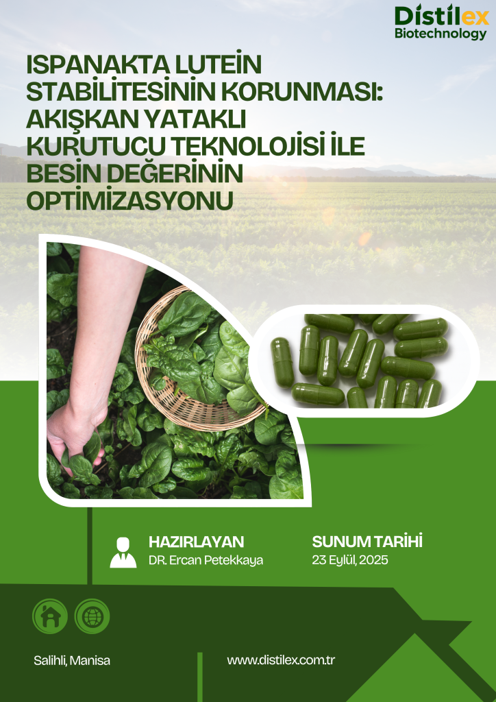 Ispanakta Lutein Stabilitesinin Korunması