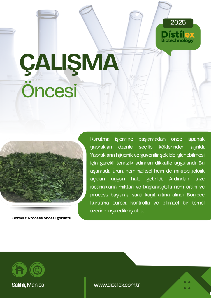 çalışma analizimiz