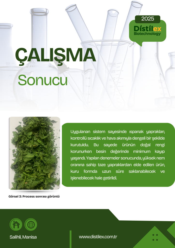 çalışma analiz sonucumuz