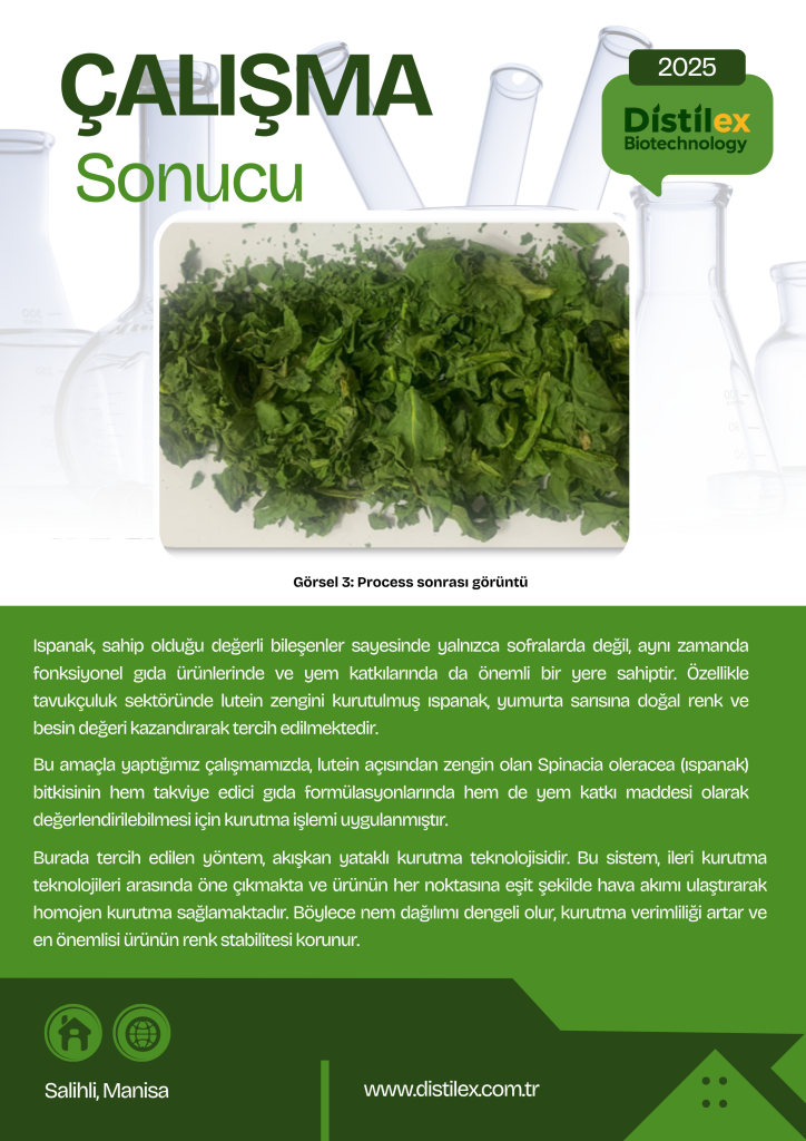 sonuçlar