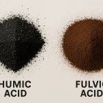 humik asit fulvik asit